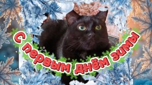 С ПЕРВЫМ ДНЁМ ЗИМЫ!