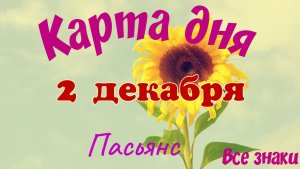 Карта дня❄2 декабря🎄☃️Пасьянс. Тайм-код в описании🦢