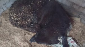 Херсонщина 30 ноября 2025 года