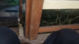 СОЧИ ГОРНОЕ ЛОО УТРО 30.11.2025