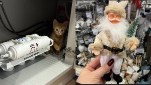 АТМОСФЕРА ПРАЗДНИКА В ЛЕМАНА ПРО 🎄 ЖАЛЬ, ЧТО С КРАНА НЕ ТЕЧЁТ ПИВО 😂