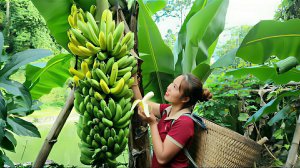 Собираю гигантские бананы для продажи на рынке. Проектирую лестницу. Жизнь Дуонг. Вьетнам