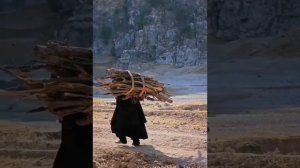 Арсен Арсланов