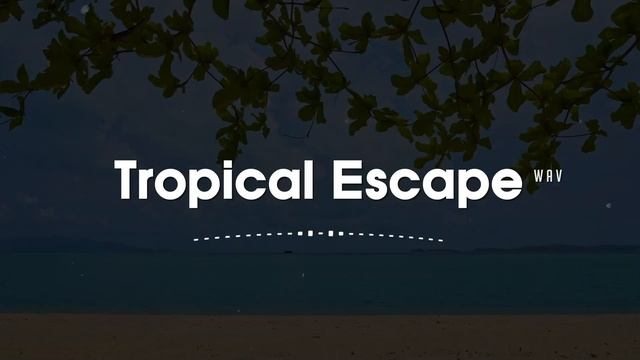 Музыка в машину. Клубная музыка. Tropical House - Tropical Escape Feeling Free With. Клипы.