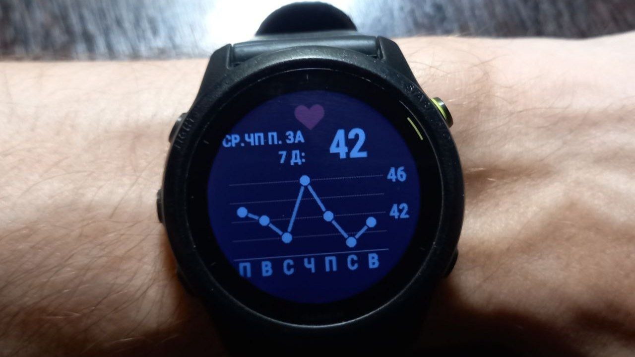 Длительный бег в лесу, пара слов о пульсе и о тренировках. Отпуск прошёл незаметно.