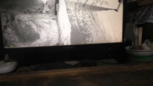 Выход утром в субботу за 300 шагов с картонной подставой под ноги.  15. 11. 2025