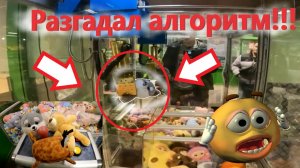 РАЗГАДАЛ АЛГОРИТМ автомата-хватайки крана с брелками!!! 😱 ВЫИГРАЛ МНОГО игрушек в хватайке!!!