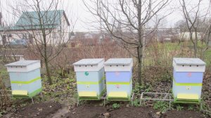 Зимовка пчел на улице