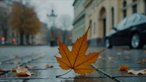 НЕ ВСПОМИНАЙТЕ О ЛЮБВИ... На стихи Розы Сиротиной