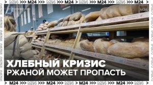 Пшеничный хлеб может полностью заменить ржаной в российских магазинах - Москва 24