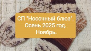 Отчёт для СП "Носочный блюз" с Еленой Велиной. Осень 2025 год. Ноябрь.