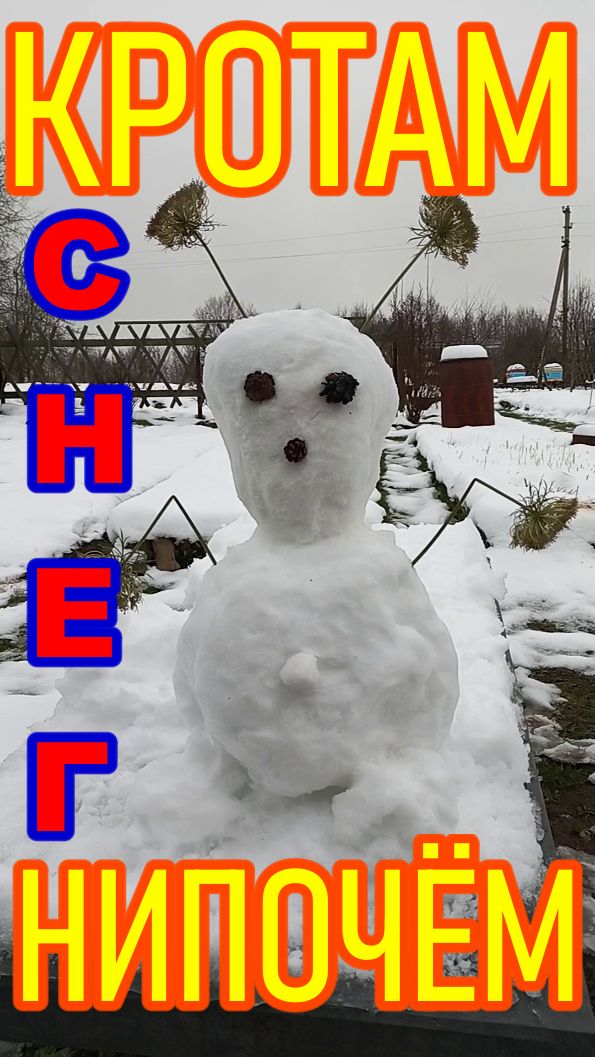 КРОТАМ и СНЕГ НИПОЧЁМ !!!