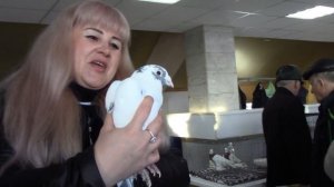 Выставка Посвященная И.Х Ромазану Г.Магнитогорск. 23.11.2025