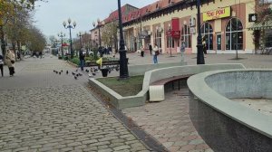 Поездка в Ейск