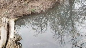 По вопросу слива канализации в речку едет комиссия с проверкой смотреть что починили.