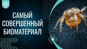 Паутина — биоматериал, превосходящие любой изобретённый человеком