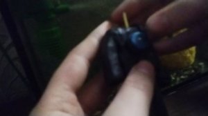 Лепка К.М.Т с рукой астро 1 часть