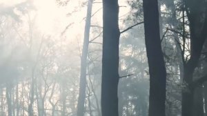 Магия судьбы на 30 ноября. Для каждого знака зодиака