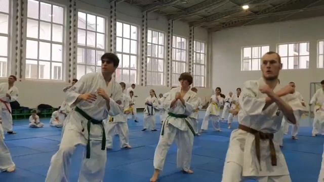 30-11-2025 組手、形、三日月クラブ смотреть онлайн