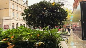 🍂 Дождливый осенний Лондон 2025: от Челси до Фулем-роуд под зонтом! ☔