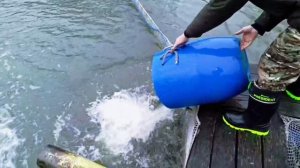 Запуск 30.11.2025