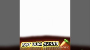 дикая 🥕и кстати моё желание на новый год 20-25 под!