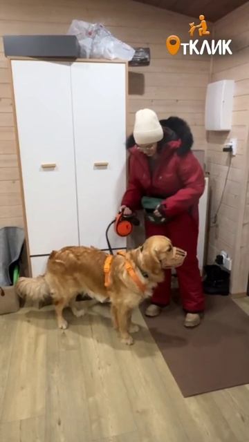 Спокойствие, только спокойствие🧘!