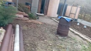 ✅Четвëртый день на даче: пора ехать домой.29.11.25.