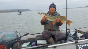 судак бьет на фарватере где ходят корабли глубина десять метров #судак #рыбалка #баржа #корабль #дон