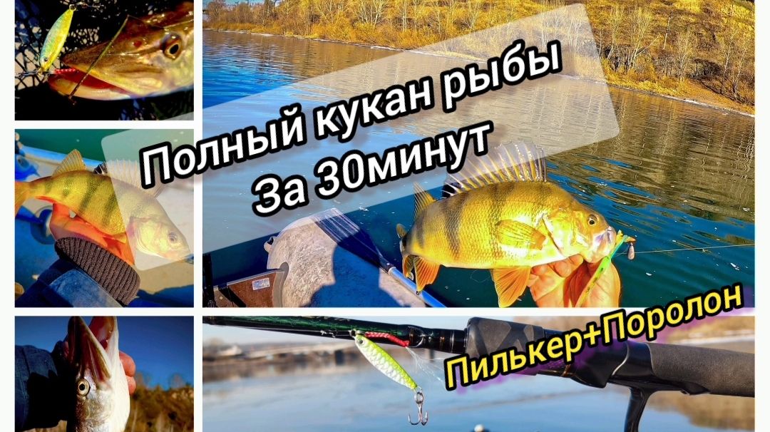 ПОРОЛОНПИЛЬКЕРЩУЧИЙ ДЖЕКПОТ