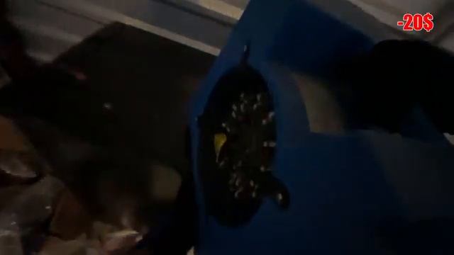 Купил юнит с аукциона попалось много интересной электроники (Genkin Sklad)