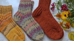 Носочный Блюз Осени. Сезон 2. Ноябрь.