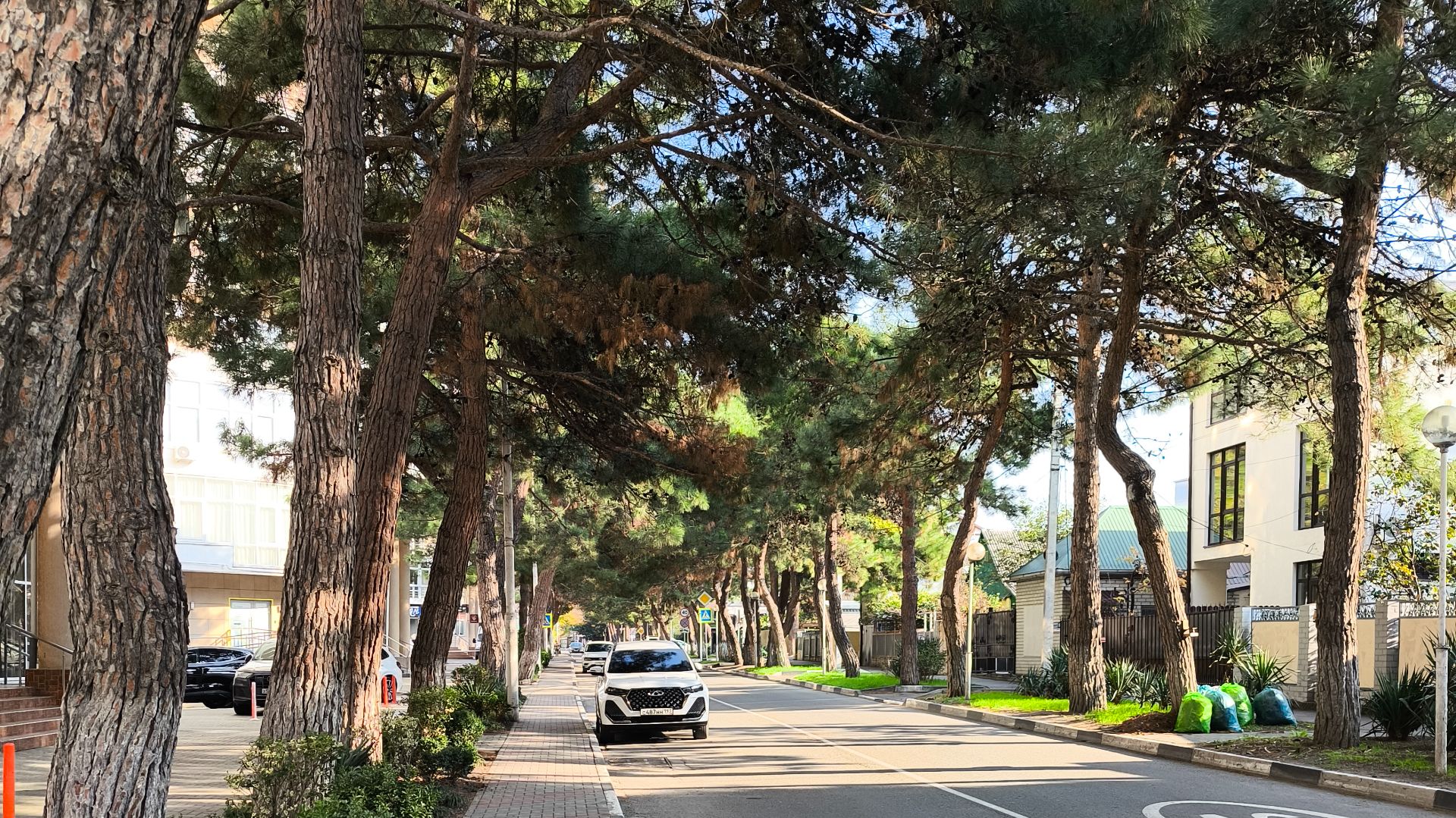 Геленджик 2025