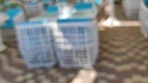 Еда на отдыхе! Путешествия по Крыму на машине !