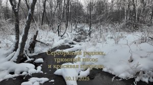 Серебряный родник, трюмный насос и красивая природа. 30.11.2025