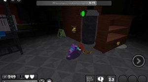 играю за пеббла