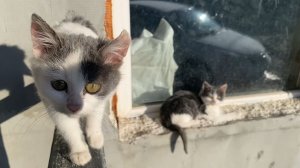 ПОЛУЧИЛ ПОСЫЛКИ!!! РЫБАЛКА!! ДОДЕЛЫВАЮ ТРАКТОР