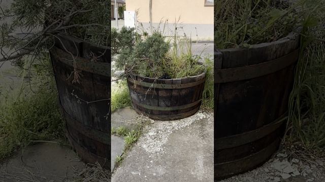 Уставший день . Муз и сл. Пётр Сёмин.