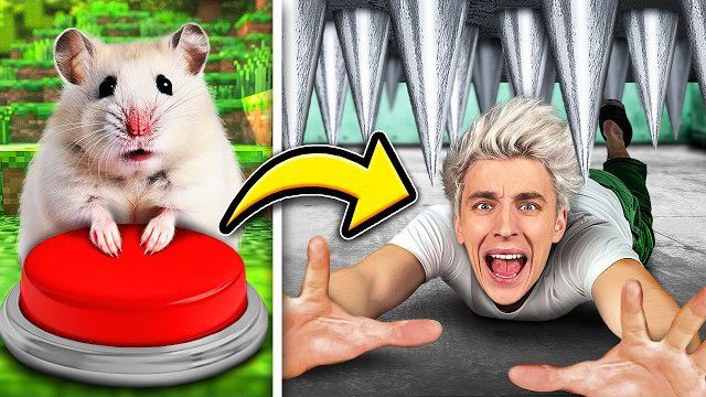 Кого Последнего УНИЧТОЖИТ ХОМЯК !