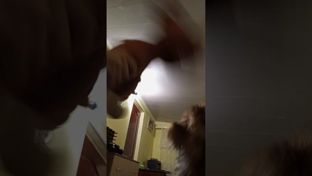 7 часть драка с лютиком, и я помогаю лютику сражаться с игрушечной собакой, духой собакой духом. смотреть онлайн