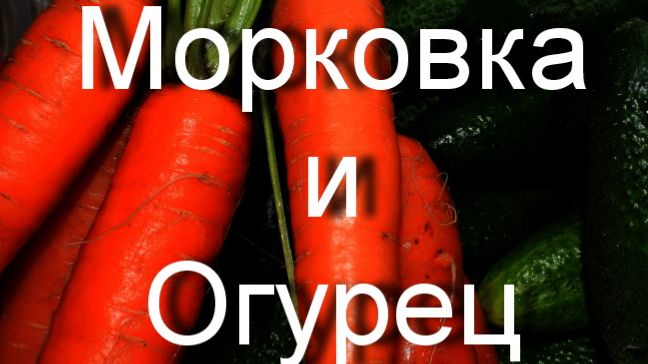 Морковка и Огурец ..Вера Журди смотреть онлайн