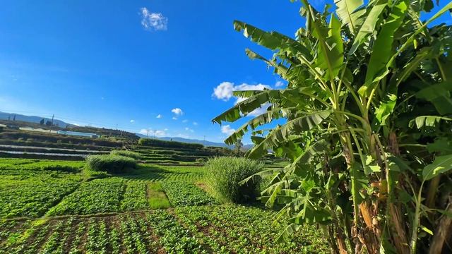 Уже с нетерпением жду лета @kuchaocrhbf