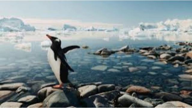 66 лет назад - Заключен международный Договор об Антарктике