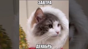 С 1 ДЕКАБРЯ! ПЕРВЫЙ ДЕНЬ ЗИМЫ!