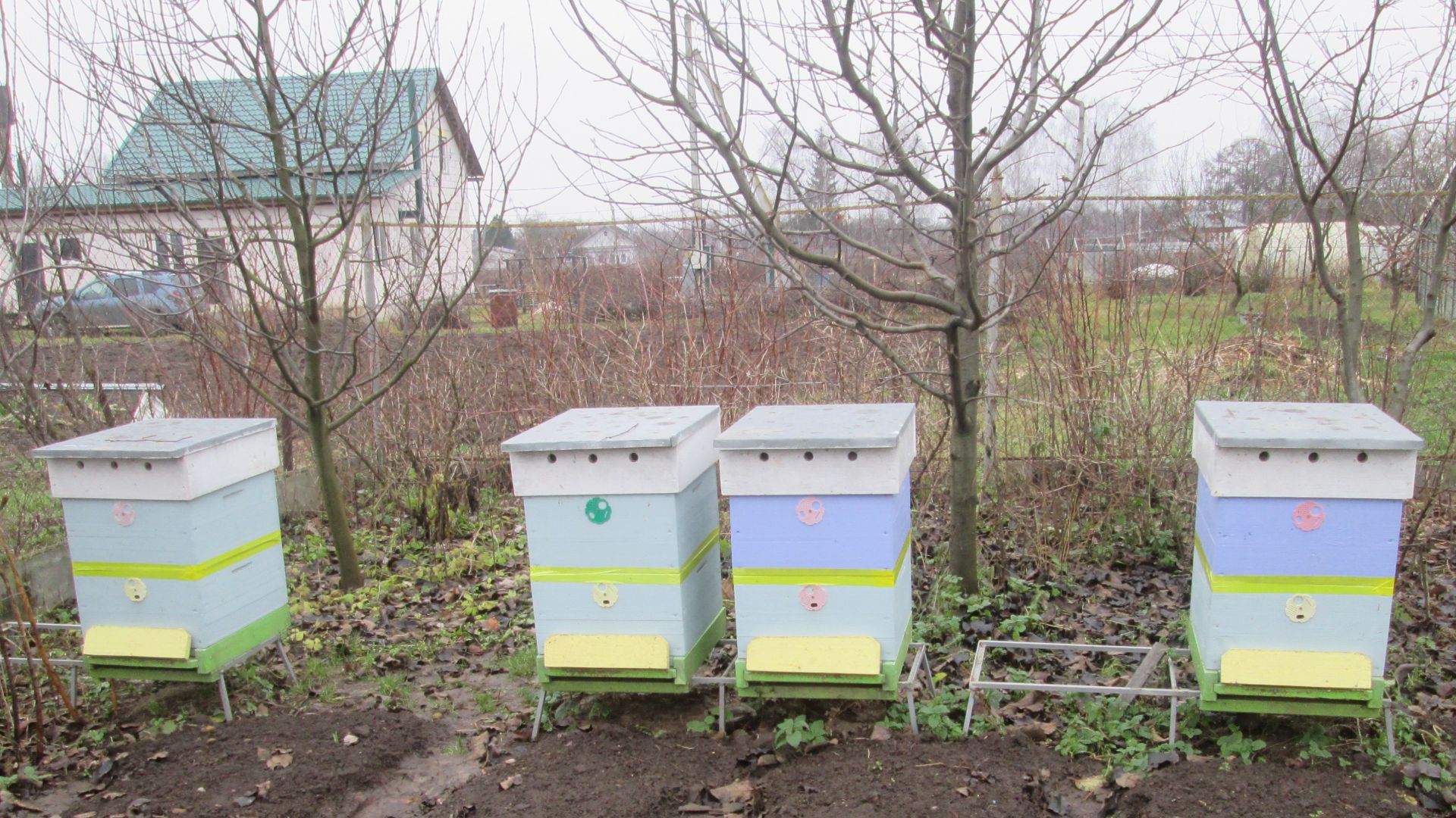 Зимовка пчел на улице смотреть онлайн