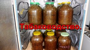 Табаководство: Планы посева Табака на следующий сезон.