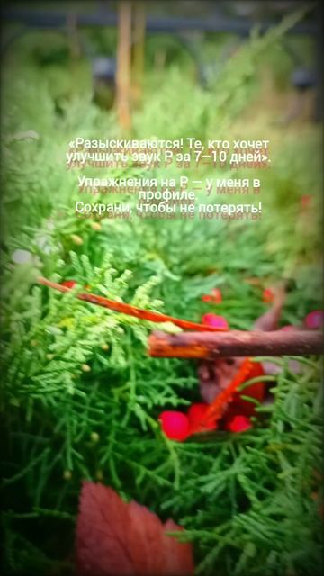 «Разыскиваются! Те, кто хочет улучшить звук Р за 7–10 дней». смотреть онлайн