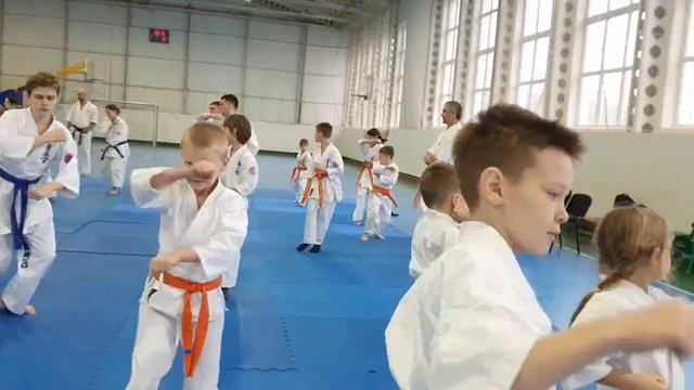 30-11-2025 組手、形、三日月クラブ смотреть онлайн