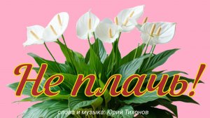песня Не плачь