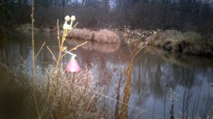 Рыбалка 29 ноября на голавля и налима на малой реке на 10 закидушек с ночёвкой на новом месте